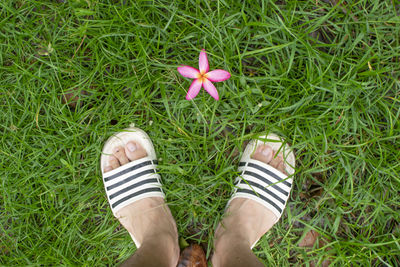 Low section of person standing on grassy field