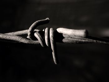 Close-up of rope on metal fence