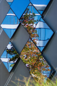 Low angle view of tree by building against sky