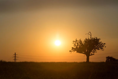 Silhouette tree on field against orange sky