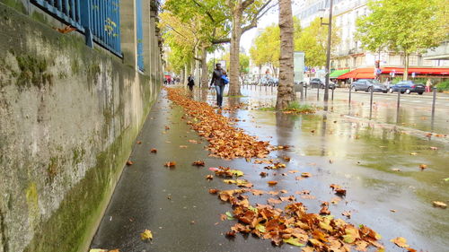 People walking on wet puddle