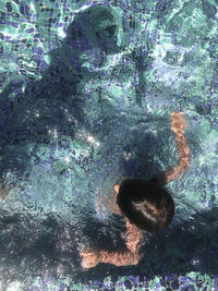 Full length of girl swimming in pool