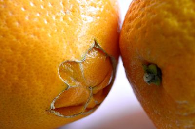 Close-up of orange fruit