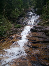 Scenic view of waterfall in forest