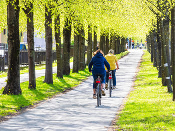 Rear view of people walking on street
