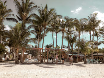 Palm trees on beach against sky