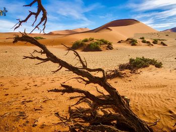 View of sand dunes in desert against sky