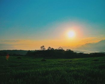 Scenic view of landscape at sunset