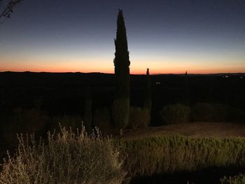 Scenic view of field against clear sky during sunset