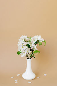Bouquet of apple blossoming branches in a white porcelain vase on a beige background