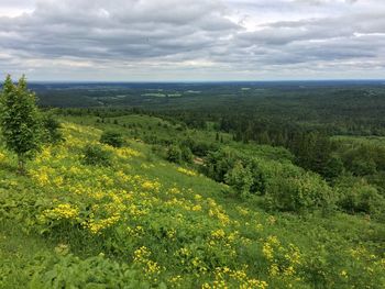 Scenic view of landscape against sky