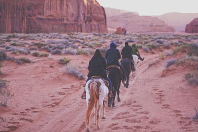 Rear view of dog riding horse on field