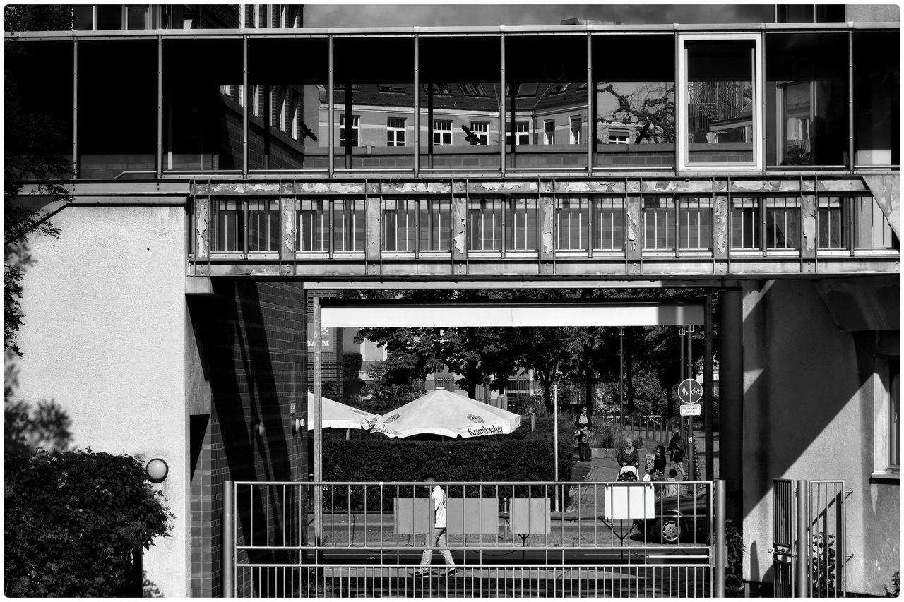 building exterior, architecture, built structure, window, city, building, glass - material, residential building, low angle view, residential structure, reflection, tree, text, day, city life, western script, transfer print, outdoors, office building, facade