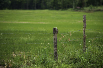 Wooden fence on field