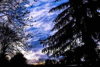 Silhouette of trees against cloudy sky