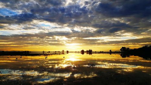 Scenic view of silhouette trees against sky during sunset