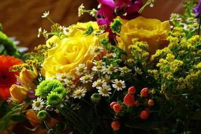 Close-up of multi colored flowers