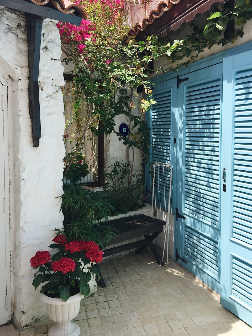 POTTED PLANTS AGAINST WINDOW OF BUILDING