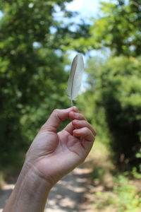 Cropped hand of woman holding feather against trees