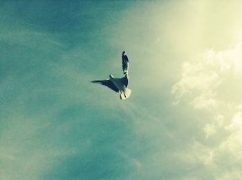 Low angle view of bird flying in sky