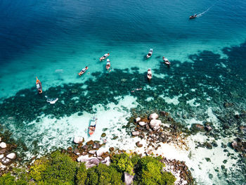 High angle view of people swimming in sea