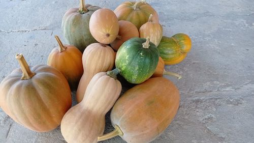 High angle view of pumpkins on table