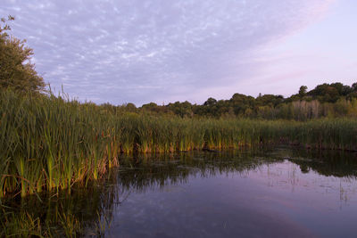 Scenic view of lake against sky