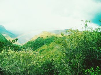 Scenic view of mountains