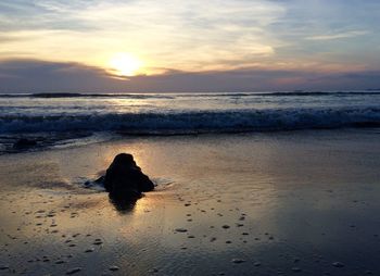 Rear view of sea against sky during sunset