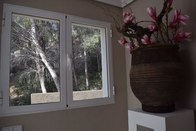 Plants seen through window