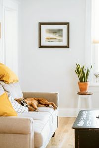 Potted plant on bed at home