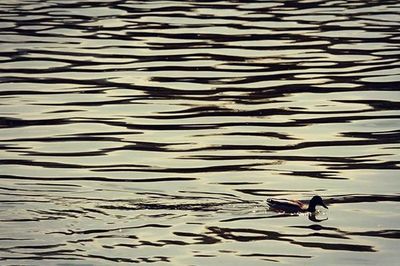 View of water in water