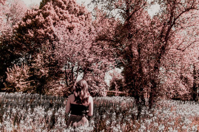 Woman sitting on cherry blossom