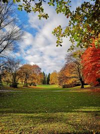 Trees on field against sky during autumn