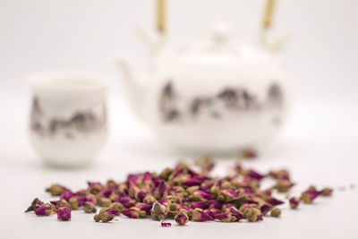 Close-up of flowering plants on table against white background