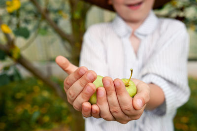 Apple harvest, two green little apples in the hands of a little boy farmer