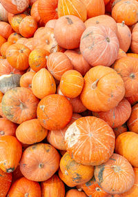 Full frame shot of pumpkins