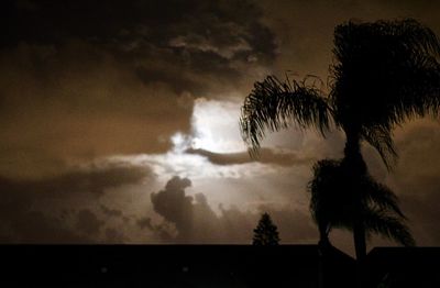 Low angle view of silhouette palm tree against sky at night
