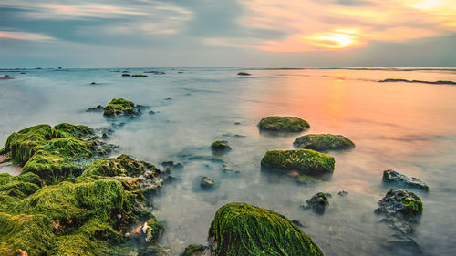 Scenic view of sea during sunset