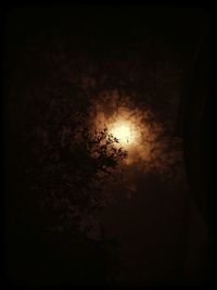 Low angle view of silhouette tree against sky at night