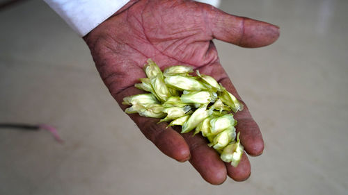 Close-up of hand holding vegetables