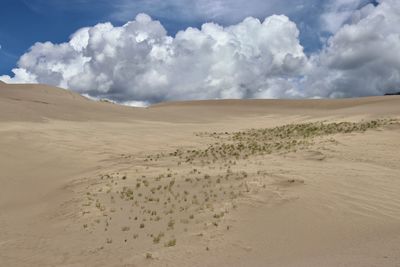Scenic view of desert against sky