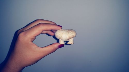 Close-up of hand holding bird