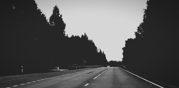 Road along trees