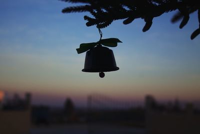 Close-up of tree against sky at sunset