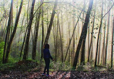 Full length of woman standing amidst trees in forest