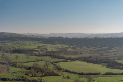 Scenic view of agricultural field against clear sky