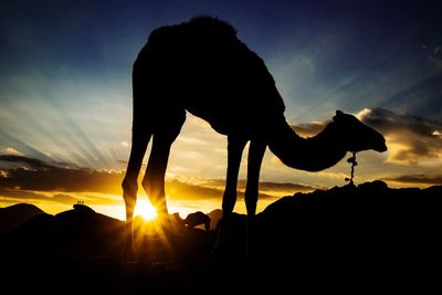 Silhouette man against sky during sunset