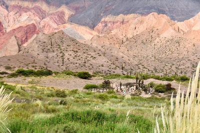 Scenic view of landscape