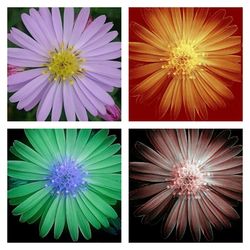 Low angle view of colorful lanterns
